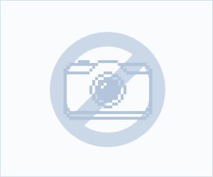 2021 New Holland Construction INDUSTRIAL 